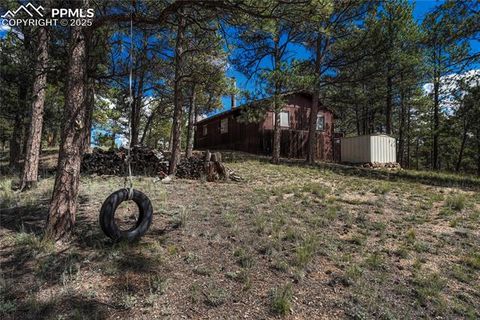 Tiny photo for 101 Dunlap Drive, Florissant, CO 80816 (MLS # 1619842)