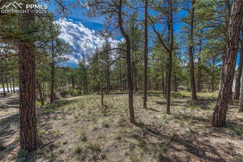 Tiny photo for 101 Dunlap Drive, Florissant, CO 80816 (MLS # 1619842)