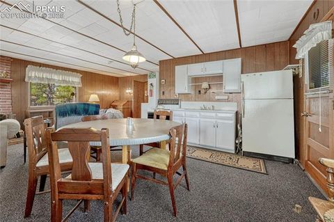 Tiny photo for 101 Dunlap Drive, Florissant, CO 80816 (MLS # 1619842)