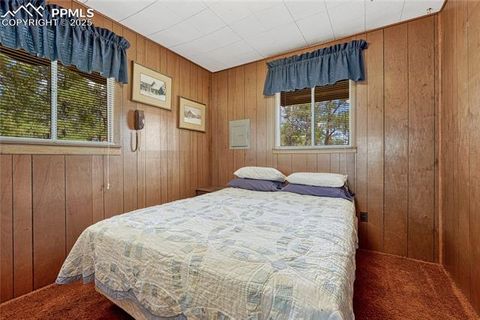 Tiny photo for 101 Dunlap Drive, Florissant, CO 80816 (MLS # 1619842)