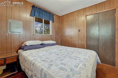 Tiny photo for 101 Dunlap Drive, Florissant, CO 80816 (MLS # 1619842)