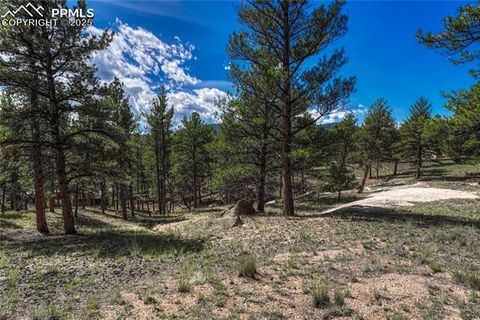 Tiny photo for 101 Dunlap Drive, Florissant, CO 80816 (MLS # 1619842)