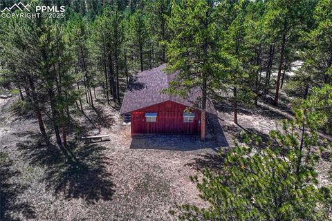 Tiny photo for 101 Dunlap Drive, Florissant, CO 80816 (MLS # 1619842)