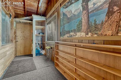 Tiny photo for 101 Dunlap Drive, Florissant, CO 80816 (MLS # 1619842)