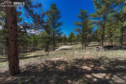Tiny photo for 101 Dunlap Drive, Florissant, CO 80816 (MLS # 1619842)