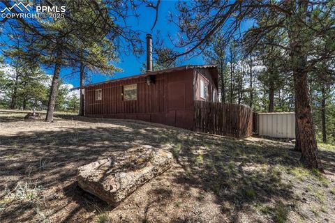 Tiny photo for 101 Dunlap Drive, Florissant, CO 80816 (MLS # 1619842)