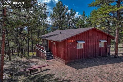 Tiny photo for 101 Dunlap Drive, Florissant, CO 80816 (MLS # 1619842)