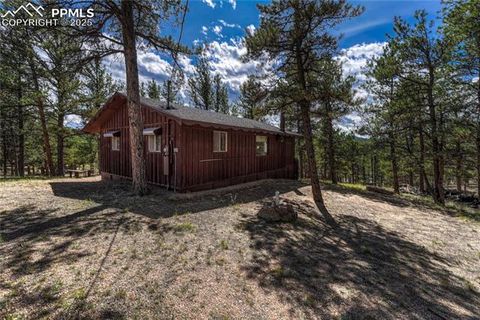 Tiny photo for 101 Dunlap Drive, Florissant, CO 80816 (MLS # 1619842)