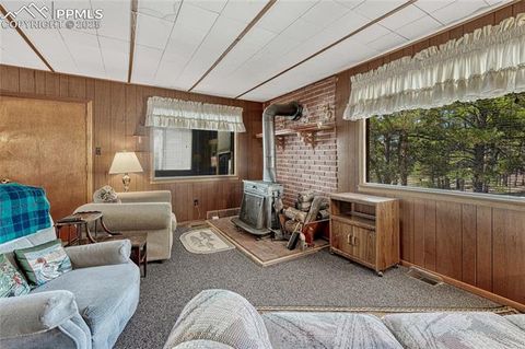 Tiny photo for 101 Dunlap Drive, Florissant, CO 80816 (MLS # 1619842)