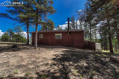 Tiny photo for 101 Dunlap Drive, Florissant, CO 80816 (MLS # 1619842)