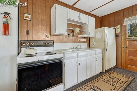 Tiny photo for 101 Dunlap Drive, Florissant, CO 80816 (MLS # 1619842)