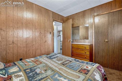 Tiny photo for 101 Dunlap Drive, Florissant, CO 80816 (MLS # 1619842)