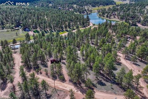 Tiny photo for 101 Dunlap Drive, Florissant, CO 80816 (MLS # 1619842)