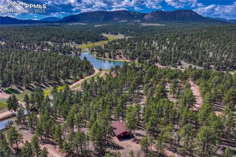 Tiny photo for 101 Dunlap Drive, Florissant, CO 80816 (MLS # 1619842)