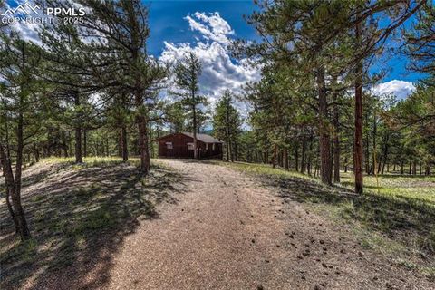 Tiny photo for 101 Dunlap Drive, Florissant, CO 80816 (MLS # 1619842)