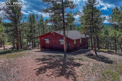 Tiny photo for 101 Dunlap Drive, Florissant, CO 80816 (MLS # 1619842)