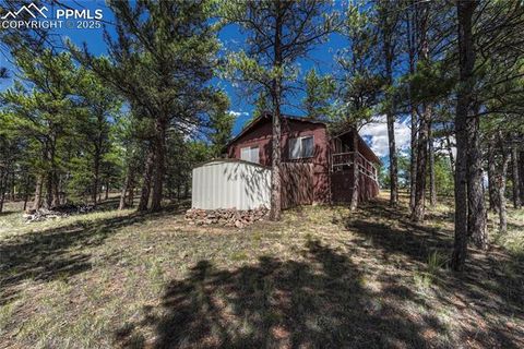Tiny photo for 101 Dunlap Drive, Florissant, CO 80816 (MLS # 1619842)