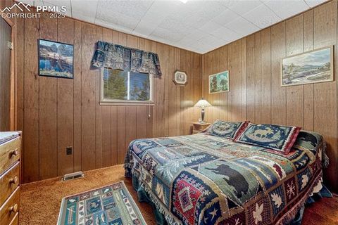 Tiny photo for 101 Dunlap Drive, Florissant, CO 80816 (MLS # 1619842)