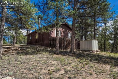 Tiny photo for 101 Dunlap Drive, Florissant, CO 80816 (MLS # 1619842)