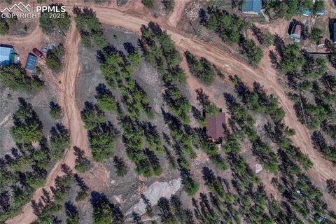 Tiny photo for 101 Dunlap Drive, Florissant, CO 80816 (MLS # 1619842)