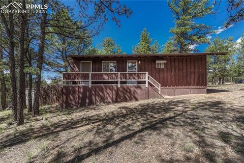 Photo of 101 Dunlap Drive, Florissant, CO 80816 (MLS # 1619842)