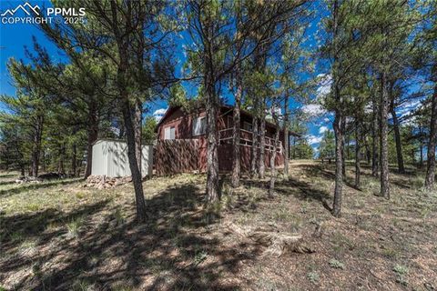 Tiny photo for 101 Dunlap Drive, Florissant, CO 80816 (MLS # 1619842)