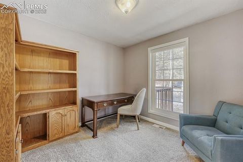 Tiny photo for 1005 W Browning Avenue, Woodland Park, CO 80863 (MLS # 3319534)