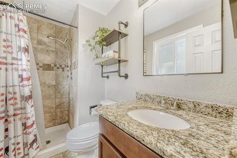 Tiny photo for 1005 W Browning Avenue, Woodland Park, CO 80863 (MLS # 3319534)