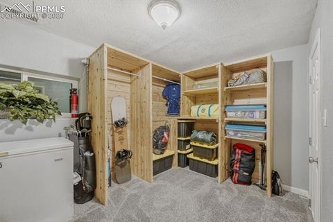 Tiny photo for 1005 W Browning Avenue, Woodland Park, CO 80863 (MLS # 3319534)