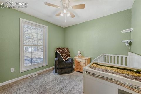 Tiny photo for 1005 W Browning Avenue, Woodland Park, CO 80863 (MLS # 3319534)