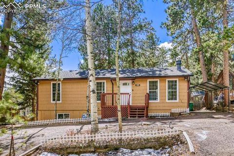 Tiny photo for 1005 W Browning Avenue, Woodland Park, CO 80863 (MLS # 3319534)