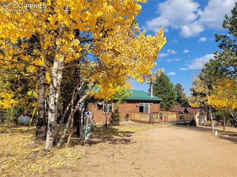 Photo of 429 Gentian Road, Woodland Park, CO 80863 (MLS # 9871968)