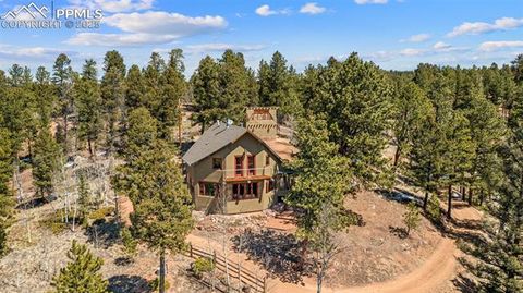 174 Needle Creek Road Divide CO 80814