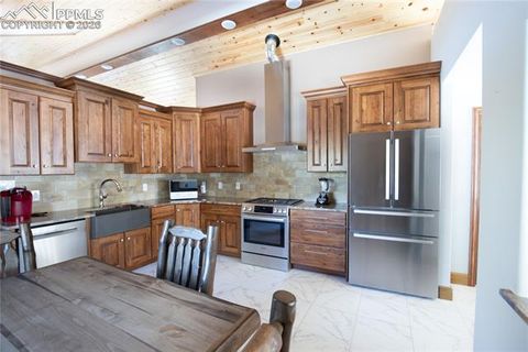 Tiny photo for 239 Deerfield Circle, Florissant, CO 80816 (MLS # 3913629)