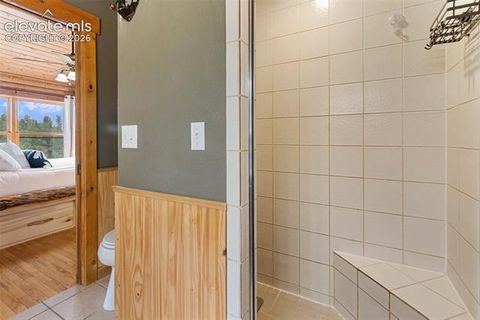 Tiny photo for 918 Douglas Fir Drive, Woodland Park, CO 80863 (MLS # 3677898)