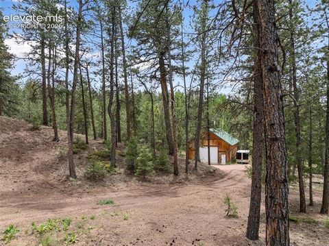 Tiny photo for 918 Douglas Fir Drive, Woodland Park, CO 80863 (MLS # 3677898)