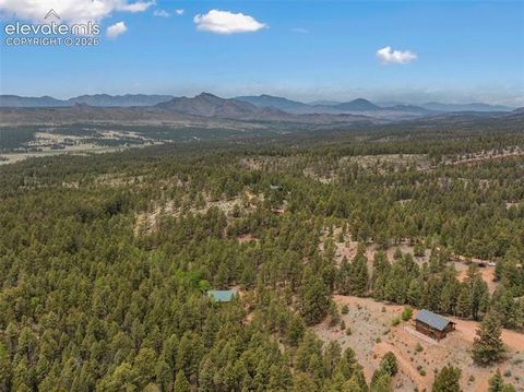 Tiny photo for 918 Douglas Fir Drive, Woodland Park, CO 80863 (MLS # 3677898)