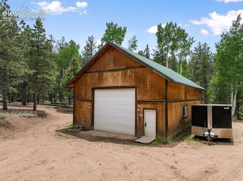 Tiny photo for 918 Douglas Fir Drive, Woodland Park, CO 80863 (MLS # 3677898)