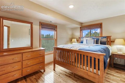 Tiny photo for 918 Douglas Fir Drive, Woodland Park, CO 80863 (MLS # 3677898)