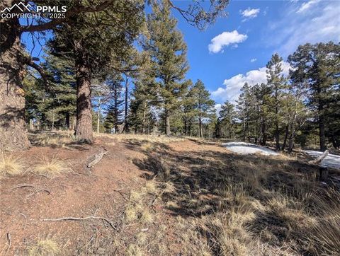 Photo of 56 Rampart Circle, Florissant, CO 80816 (MLS # 6681653)