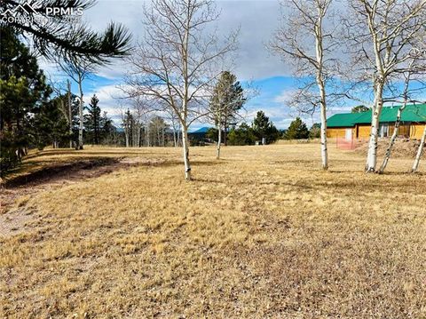 Photo of 799 Elfin Glen Drive, Divide, CO 80814 (MLS # 9333345)