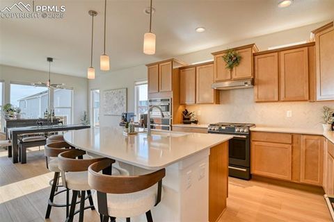 Tiny photo for 10757 Foggy Bend Lane, Peyton, CO 80831 (MLS # 9070487)