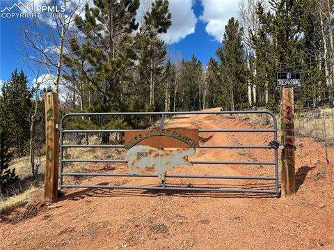 Photo of 12201 S Highway 67, Cripple Creek, CO 80813 (MLS # 7961363)