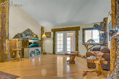 Tiny photo for 38 Mac Donnell Drive, Cotopaxi, CO 81223 (MLS # 2852857)