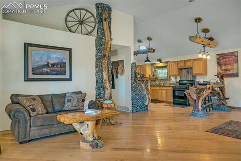 Tiny photo for 38 Mac Donnell Drive, Cotopaxi, CO 81223 (MLS # 2852857)