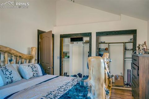 Tiny photo for 38 Mac Donnell Drive, Cotopaxi, CO 81223 (MLS # 2852857)