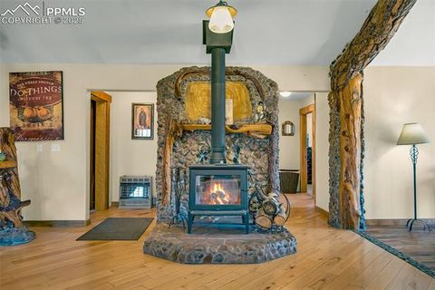 Tiny photo for 38 Mac Donnell Drive, Cotopaxi, CO 81223 (MLS # 2852857)