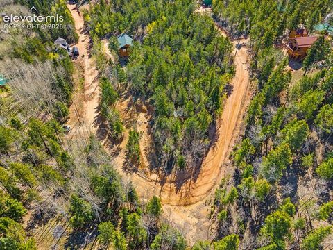 Photo of 413 Wakanda Trail, Woodland Park, CO 80863 (MLS # 6135136)