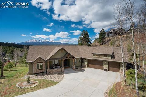 1040 Locklin Way Woodland Park CO 80863
