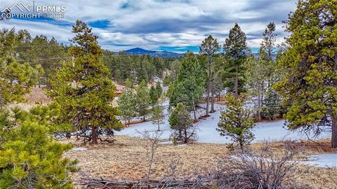 Photo of 54 Southgate Road, Florissant, CO 80816 (MLS # 7385301)